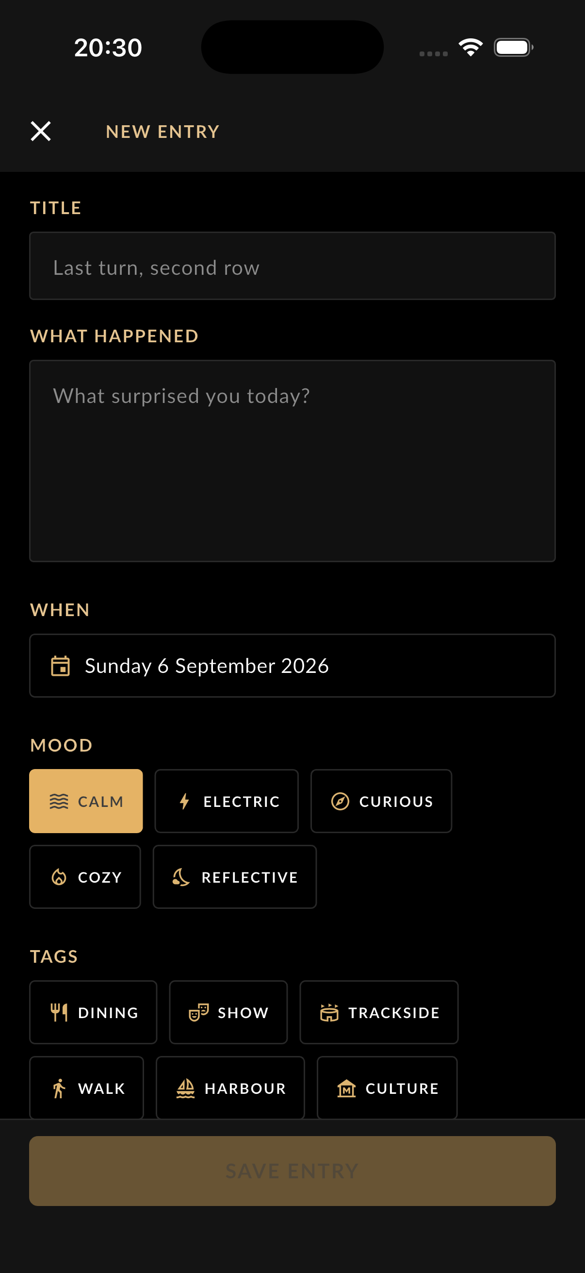 New entry screen with dark fields, moods, and tags